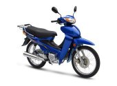 2013 Giantco Raider 110 photo